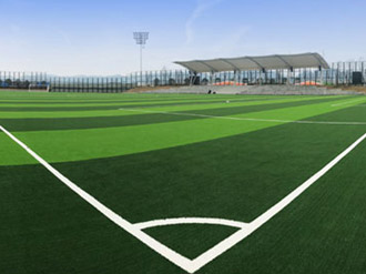 全規格足球場人造草坪